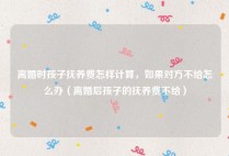 离婚时孩子抚养费怎样计算，如果对方不给怎么办（离婚后孩子的抚养费不给）