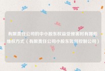 有限责任公司的中小股东权益受侵害时有哪些维权方式（有限责任公司小股东如何控制公司）