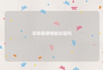 非吸案律师能出庭吗