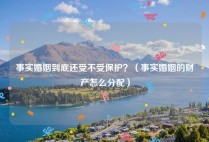 事实婚姻到底还受不受保护？（事实婚姻的财产怎么分配）