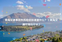 青海交通事故伤残赔偿标准是什么？（青海交通厅现任厅长）