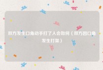 双方发生口角动手打了人会如何（双方因口角发生打架）