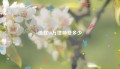 借款10万律师费多少
