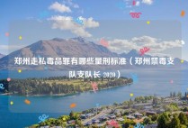 郑州走私毒品罪有哪些量刑标准（郑州禁毒支队支队长 2020）