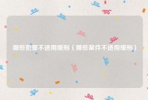 哪些犯罪不适用缓刑（哪些案件不适用缓刑）