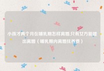 小孩才两个月在哺乳期怎样离婚,只有女方能提出离婚（哺乳期内离婚抚养费）