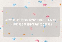 无权处分订立的合同效力待定吗？（无权处分人签订的合同属于效力待定合同吗）