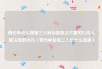 劳动争议仲裁第三人对仲裁裁决不服可以向人民法院起诉吗（劳动仲裁第三人是什么意思）