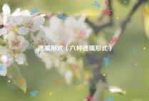遗嘱形式（六种遗嘱形式）
