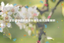 北京律师团队收费标准及相关因素解析