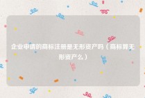 企业申请的商标注册是无形资产吗（商标算无形资产么）