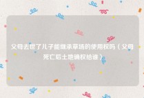 父母去世了儿子能继承草场的使用权吗（父母死亡后土地确权给谁）