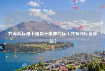 共有商标是不是属于集体商标（共有商标有哪些）