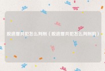 脱逃罪共犯怎么判刑（脱逃罪共犯怎么判刑的）