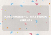 拟上市公司原始股是什么（即将上市的原始股能赚多少钱）