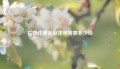 广西代理出庭律师需要多少钱
