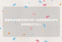 我国罚金刑是怎样执行的（简述我国刑法中罚金刑的执行方法）