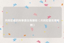 共同犯罪的刑事责任有哪些（共同犯罪处理原则）