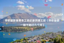 停职留薪是基本工资还是效绩工资（停职留薪一般不超过几个月）