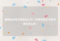 量刑时没法交罚金怎么办（刑事犯罪交不起罚金会怎么样）