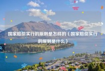 国家赔偿实行的原则是怎样的（国家赔偿实行的原则是什么）