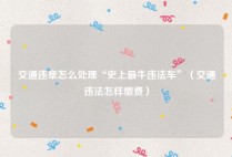交通违章怎么处理“史上最牛违法车”（交通违法怎样缴费）