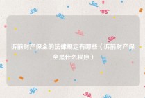 诉前财产保全的法律规定有哪些（诉前财产保全是什么程序）