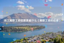 员工离职工资结算表是什么（离职工资的结算）
