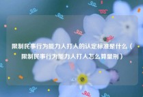 限制民事行为能力人打人的认定标准是什么（限制民事行为能力人打人怎么算量刑）