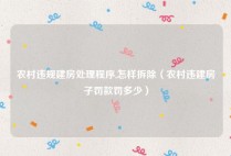 农村违规建房处理程序,怎样拆除（农村违建房子罚款罚多少）