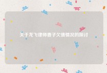 关于龙飞律师妻子欠债情况的探讨