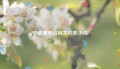 宁波律师咨询大约多少钱