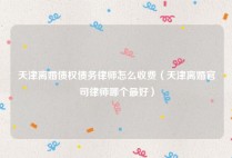 天津离婚债权债务律师怎么收费（天津离婚官司律师哪个最好）