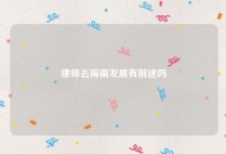 律师去海南发展有前途吗