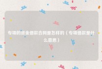 专项的资金借款合同是怎样的（专项借款是什么意思）