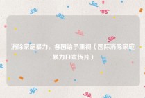 消除家庭暴力，各国给予重视（国际消除家庭暴力日宣传片）