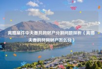 离婚案件中夫妻共同财产分割问题探析（离婚夫妻的共同财产怎么分）