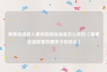 肇事逃逸致人重伤赔偿标准是怎么样的（肇事逃逸致重伤要多少赔偿金）