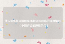 什么是小额诉讼程序,小额诉讼程序的适用情形（小额诉讼的适用条件）