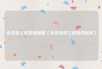 业务员工资管理制度（业务员的工资如何制定）