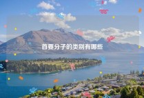 首要分子的类别有哪些