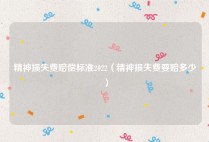 精神损失费赔偿标准2022（精神损失费要赔多少）