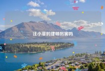 汪小菲的律师厉害吗