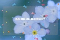 诉前调解可以聘请律师吗？