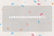 交通事故伤残鉴定及精神赔偿是什么