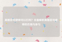 离婚官司律师可以打吗？全面解析离婚官司律师的作用与参与