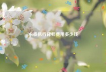 永泰执行律师费用多少钱