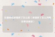 在猫咖玩被猫抓了怎么赔（被猫抓了怎么判断没事没破皮）