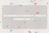 因为家暴离婚,孩子会判给谁抚养（如果因为家暴而离婚孩子跟哪一方）