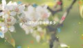 2百万的律师费多少